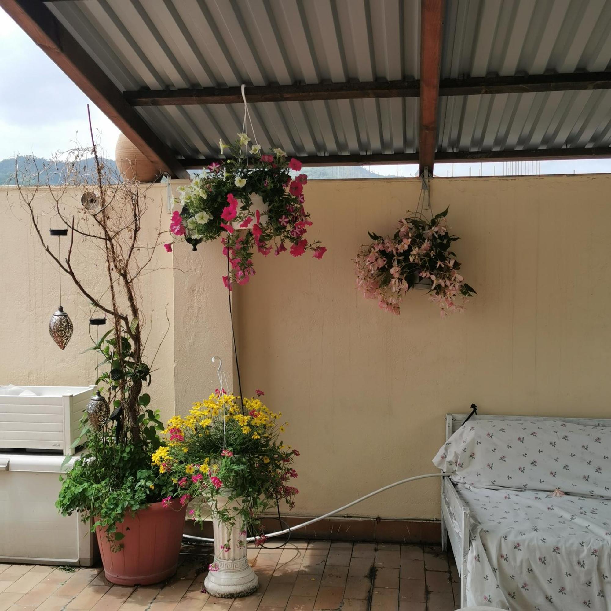 Albisola Bed And Breakfast Albisola Superiore Ngoại thất bức ảnh